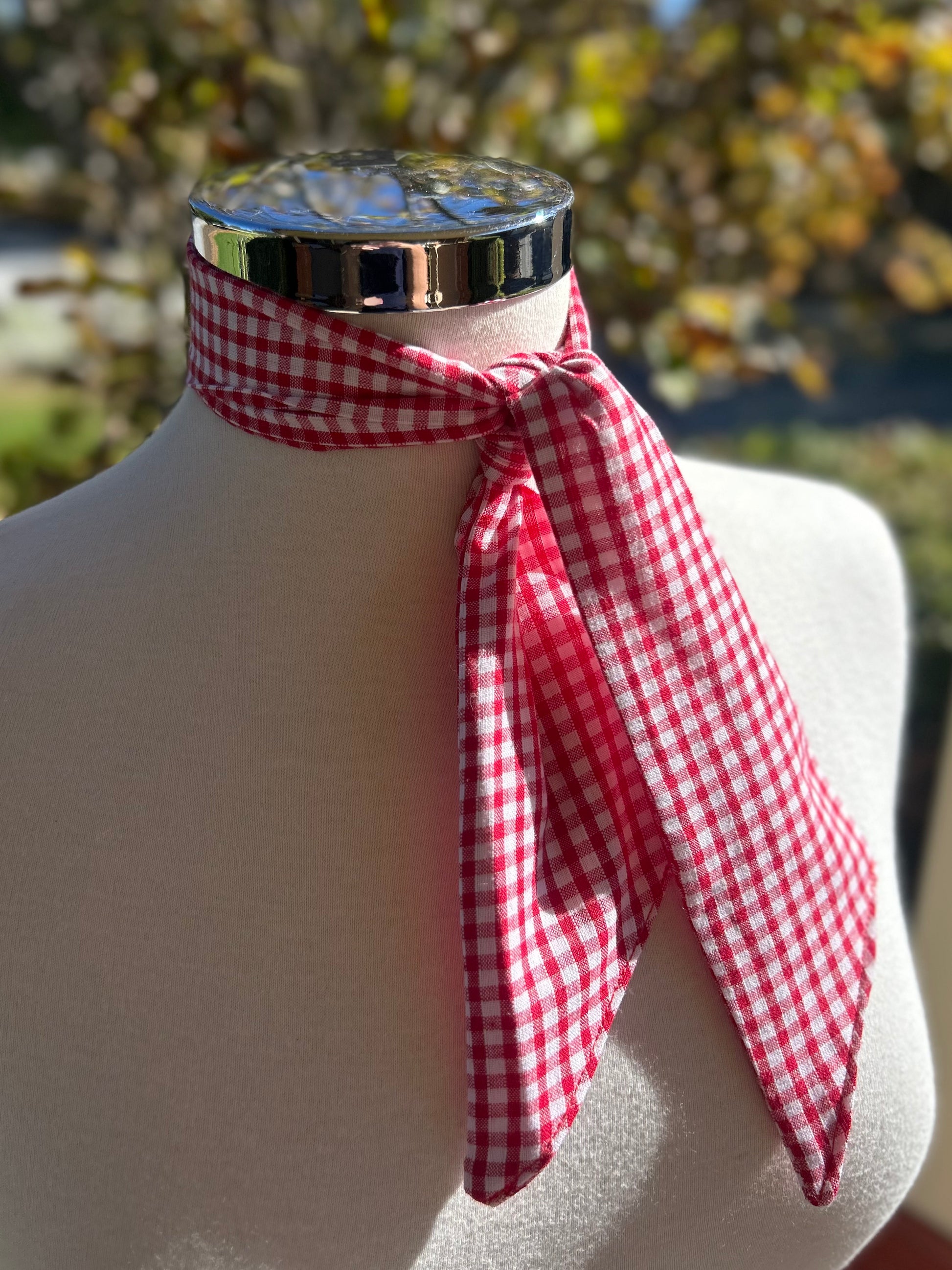 Cotton Neck Tie - Red Gingham