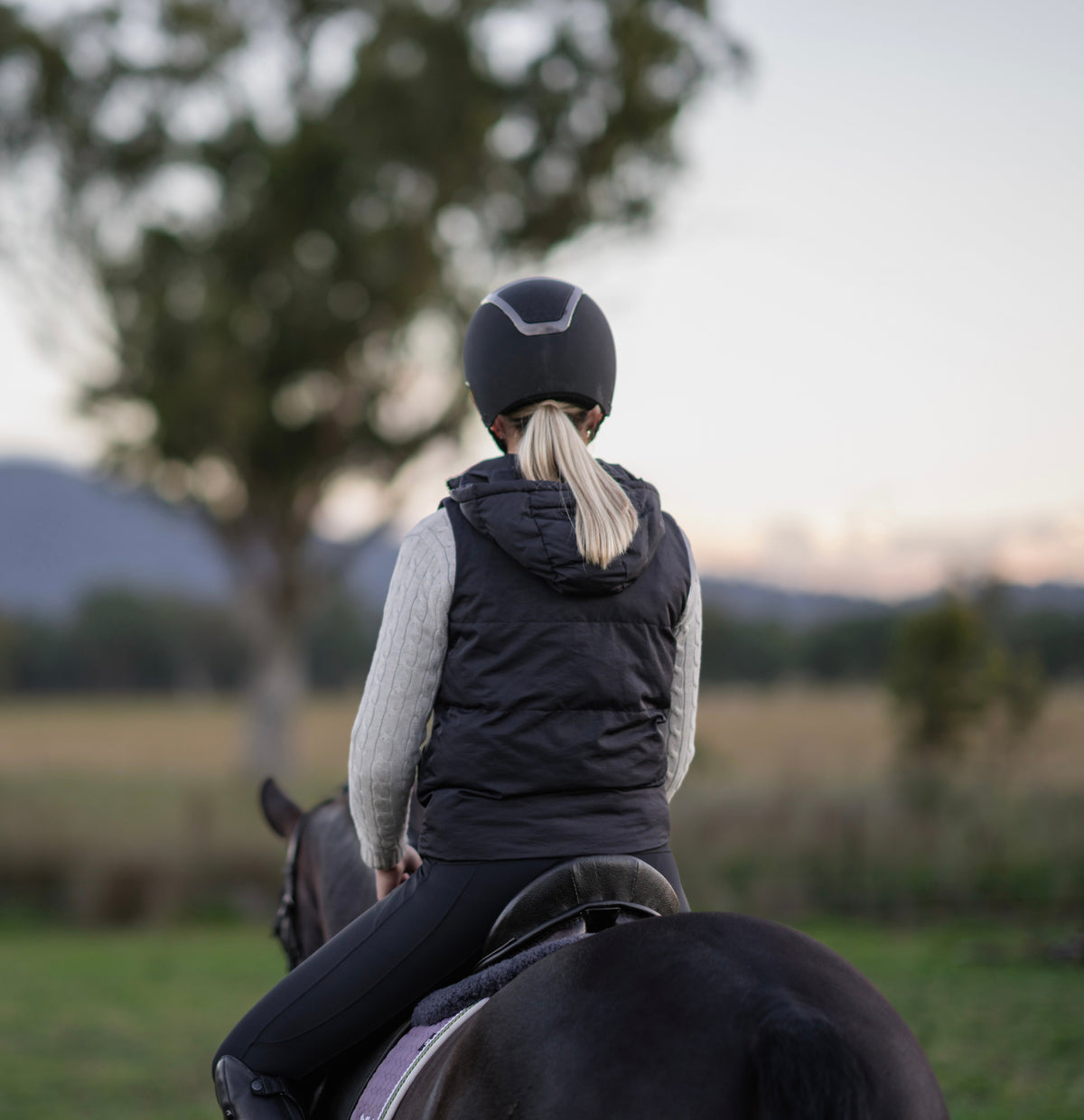 Equestrian Collection