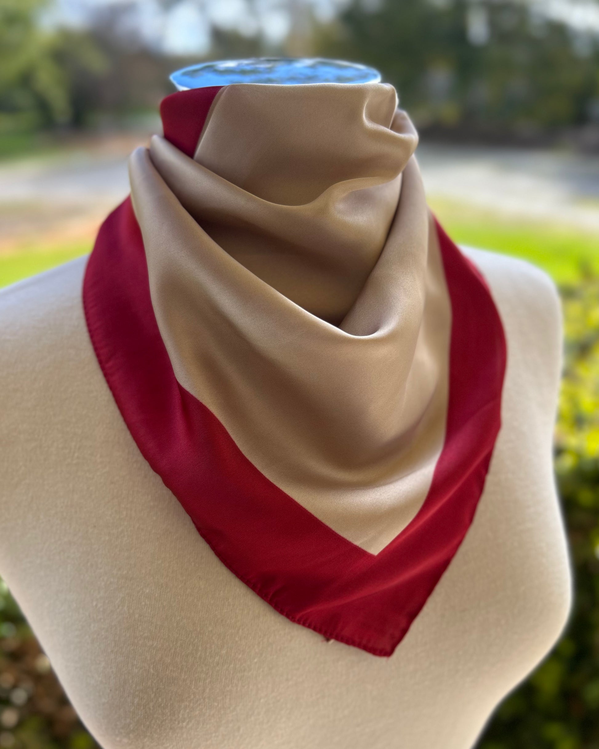 Satin Neck Scarf - Champaign & Red