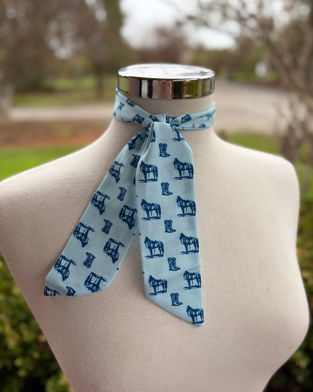 Satin Neck Ties - Western