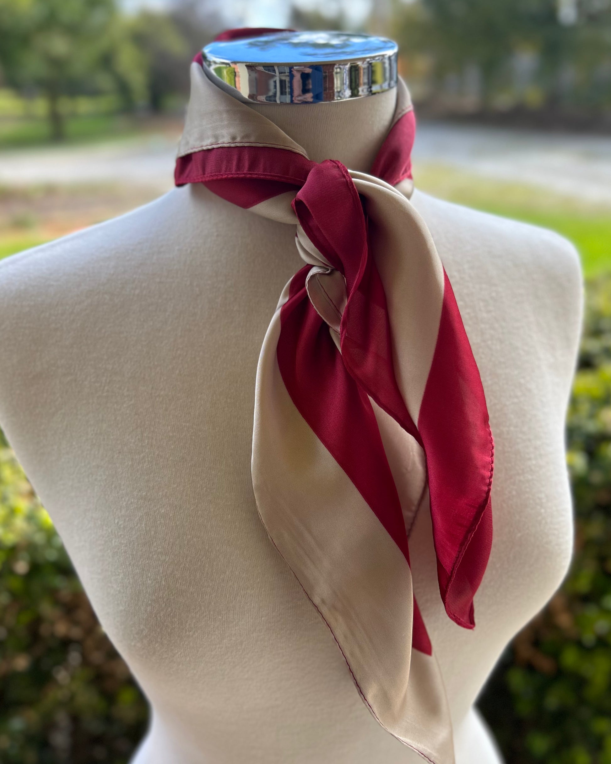 Satin Neck Scarf - Champaign & Red