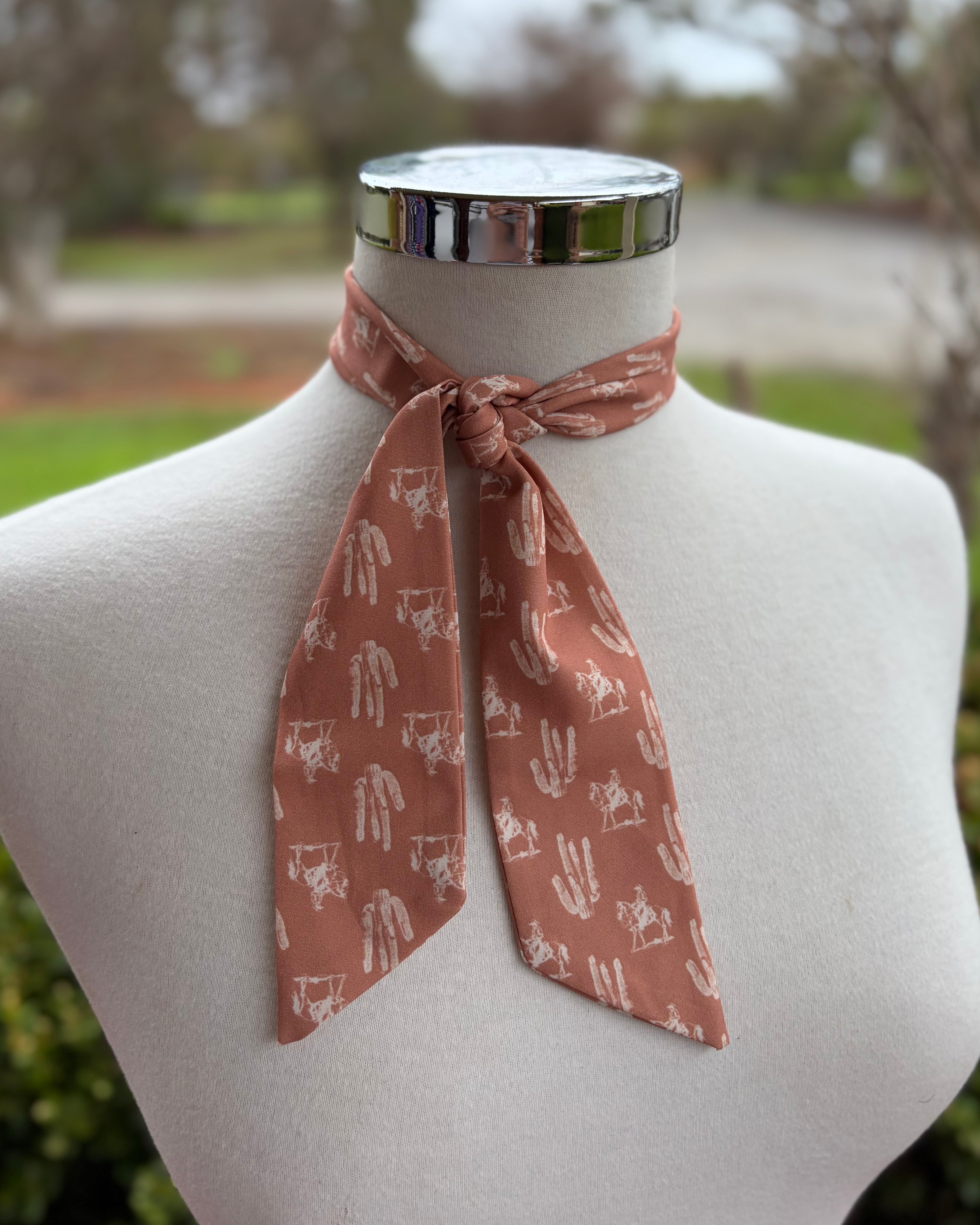 Satin Neck Ties - Western