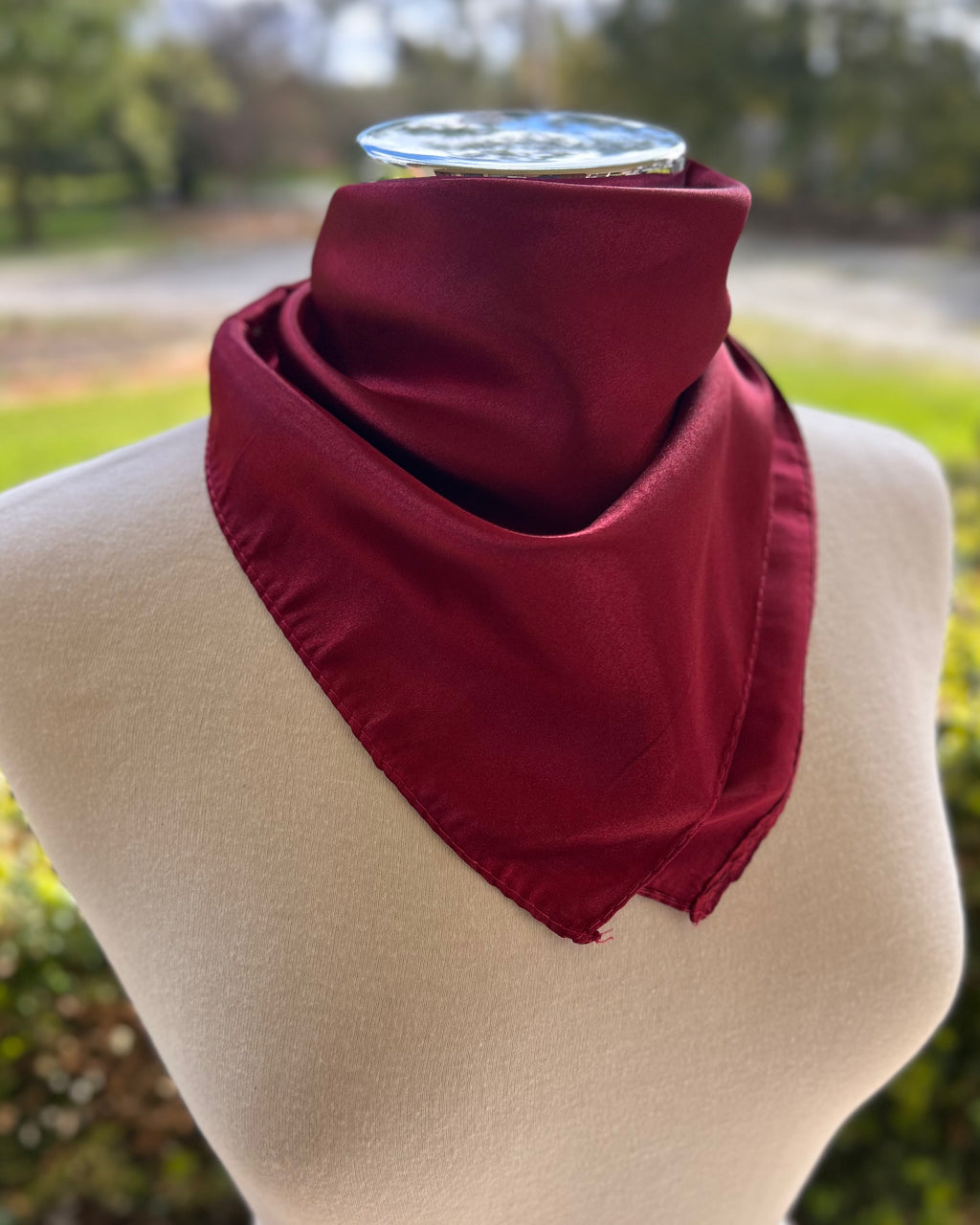 Satin Neck Scarf - Deep Red