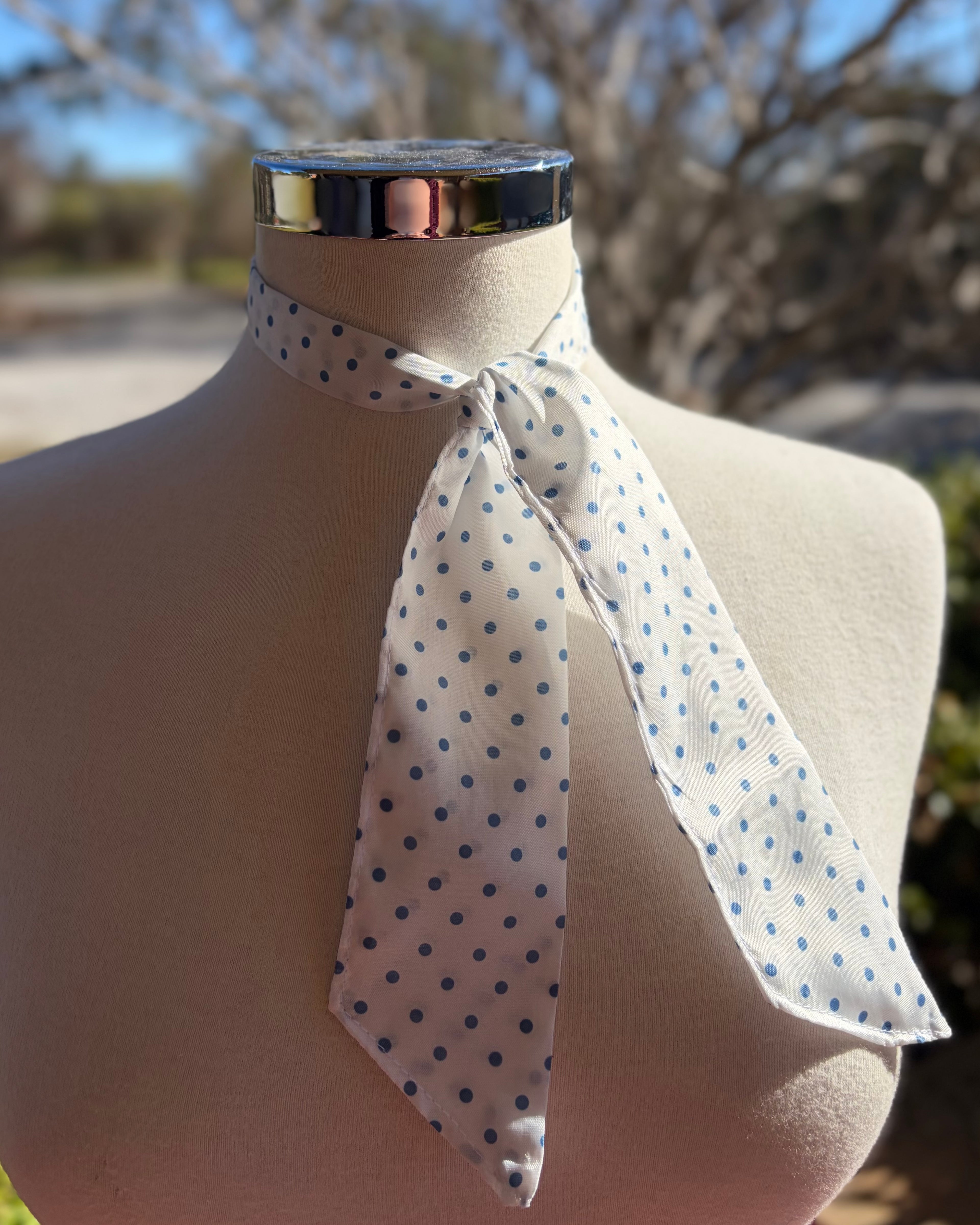 Satin Neck Tie - White Polkadot